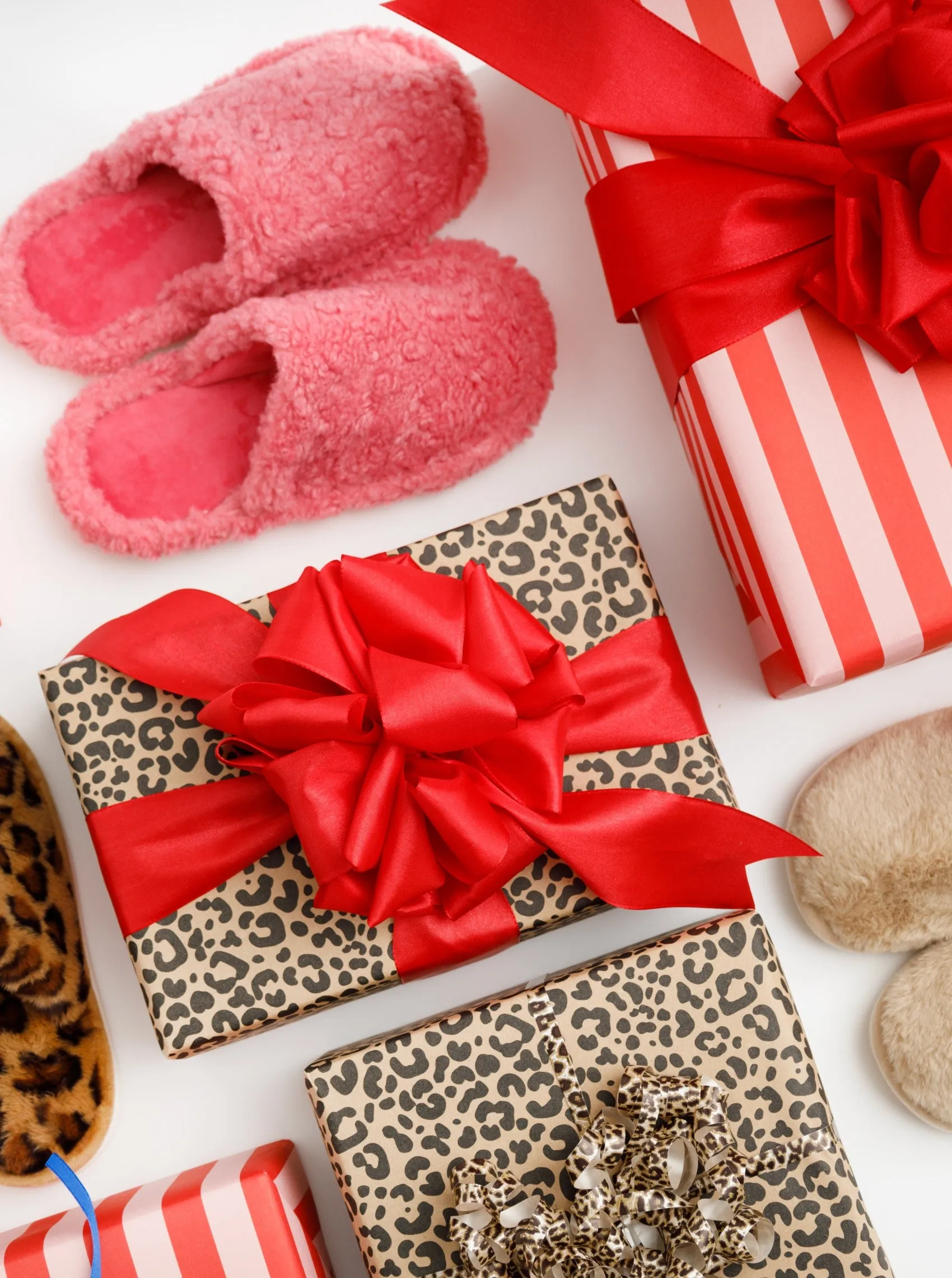 BCLEO slippers - Leo